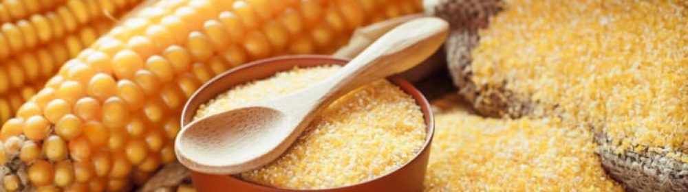 custom-img-02-copyright